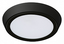 Накладной светильник Lightstar Urbano 216974 250_100_Array