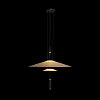 Подвесной светильник Loft it Skylar 10244/A Black 100_100_1850859