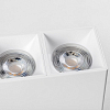 Накладной светильник Lightstar Rullo 213366 100_100_3155464