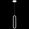 Подвесной светильник Lightstar Saturno 749006 100_100_1722895