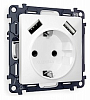 Розетка с заземлением и со шторкой и 2хUSB type A, без рамки Ambrella Volt ALFA MA129010 100_100_2306782