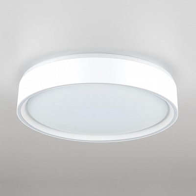 Накладной светильник Citilux BOSS CL751250G 400_400_3148853