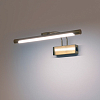 Подсветка для картины Lightstar Noce 201151 100_100_3079902