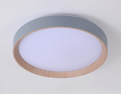 Накладной светильник Ambrella Light FZ FZ1320 400_400_2021285