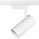 Светильник на штанге Lightstar Volta 229436 250_100_1715396