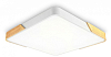 Накладной светильник Ambrella Light FZ FZ1313 100_100_2442128