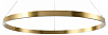 Подвесной светильник Lightstar Saturno 748043 100_100_2460570