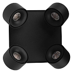 Спот Loft it Case 10326 Black 250_100_1851381