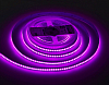 Лента светодиодная Ambrella Light  GS4951 100_100_2385268