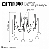 Подвесная люстра Citilux Atman Smart CL226A091 100_100_1694352