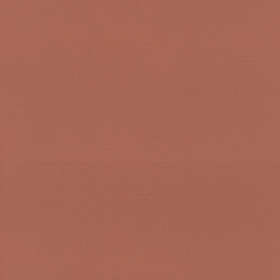 692730 Обои Rasch (1*12) 10,05x0,53 винил на флизелине 400_400_2323989
