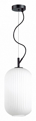 Подвесной светильник Odeon Light Roofi 4751/1 400_400_1724786