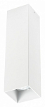 Накладной светильник Lightstar Rullo 216596 250_100_Array