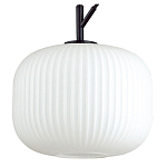 Подвесной светильник Odeon Light Roofi 4753/1 250_100_Array