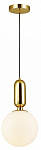 Подвесной светильник Odeon Light Okia 4669/1 250_100_1723999