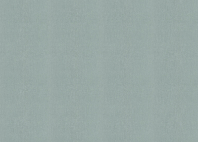 633665 Обои Rasch (1*12) 10,05x0,53 винил на флизелине 400_400_2687668