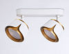 Спот Ambrella Light TN TN71229 100_100_2022512