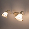Спот Citilux Прованс CL511524 100_100_1687793