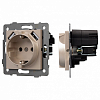 Розетка с заземлением и 2хUSB type A, без рамки Arlight SCT 049821 100_100_681317