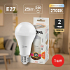 Лампа светодиодная Эра Стандарт E27 25Вт 2700K LED A65-25W-827-E27 100_100_2474253