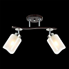 Спот Citilux Фортуна CL156122 100_100_1685539