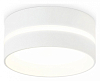 Накладной светильник Ambrella Light TN TN5391 100_100_2442372