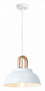 Подвесной светильник Ambrella Light TR TR8190 100_100_2015689