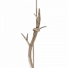 Подвесной светильник Mantra Sabina 6179 100_100_1703377