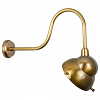 Бра Covali  WL-30985 100_100_2052343