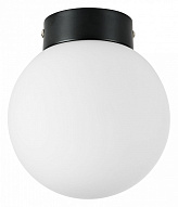 Накладной светильник Lightstar Globo 812017 500_191_3165425