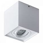 Накладной светильник Arte Lamp Factor A5544PL-1WH 250_100_Array
