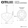 Подвесная люстра Citilux DRYAD CL305160 100_100_2820345