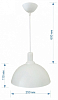 Подвесной светильник Apeyron Electrics 12-10 12-101 100_100_1963668