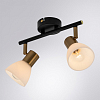 Спот Arte Lamp Falena A3117PL-2BK 100_100_1822874