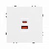 Розетка 2хUSB type A и C без рамки Arlight SCT 054316 100_100_1603158