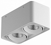 Накладной светильник Lightstar Monocco 052126 100_100_3164899