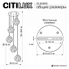 Подвесная люстра Citilux CLOUDY CL323052 100_100_2833450