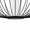 Подвесной светильник Lightstar Sole 734067 100_100_1720831