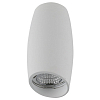 Накладной светильник Lightstar Ballo 214466 100_100_2448063