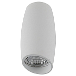 Накладной светильник Lightstar Ballo 214466 250_100_Array