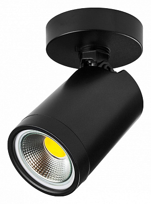 Светильник на штанге Lightstar Rullo 213407 400_400_2471047