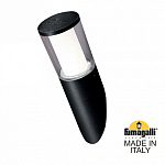 Светильник на штанге Fumagalli Carlo DR1.571.000.AXU1L 250_100_1800935