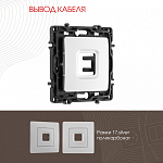 Розетка для вывод кабеля без рамки Arte Milano am-217 217.49-1.silver 250_100_2167947