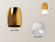 Накладной светильник Ambrella Light XS XS1125023 250_100_2005950