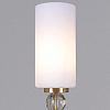 Подвесная люстра ILLUMICO  IL5226-10PLS-25 ELITE 100_100_2628934