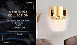 Бра Ambrella Light TR TR5252 250_100_2734885