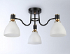 Потолочная люстра Ambrella Light TR TR303303 100_100_2016962