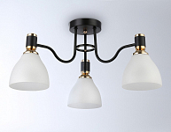 Потолочная люстра Ambrella Light TR TR303303 250_100_2016962