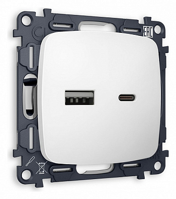Розетка 2хUSB type A и C без рамки Ambrella Volt OMEGA MO131010 400_400_2187310