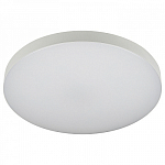 Накладной светильник Эра Relict Relict 48 Pult SPB-6-60-RC WH 250_100_Array